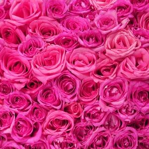 🍒Bundle Trade🍒